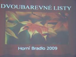 Resize of DSC06631.JPG